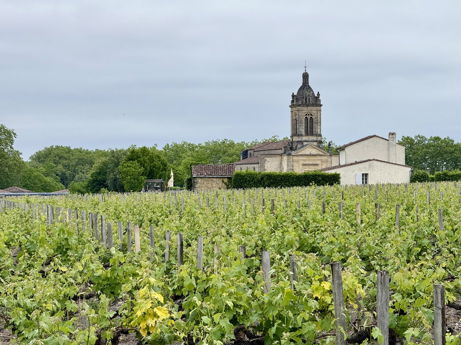 Vines and château, Margaux