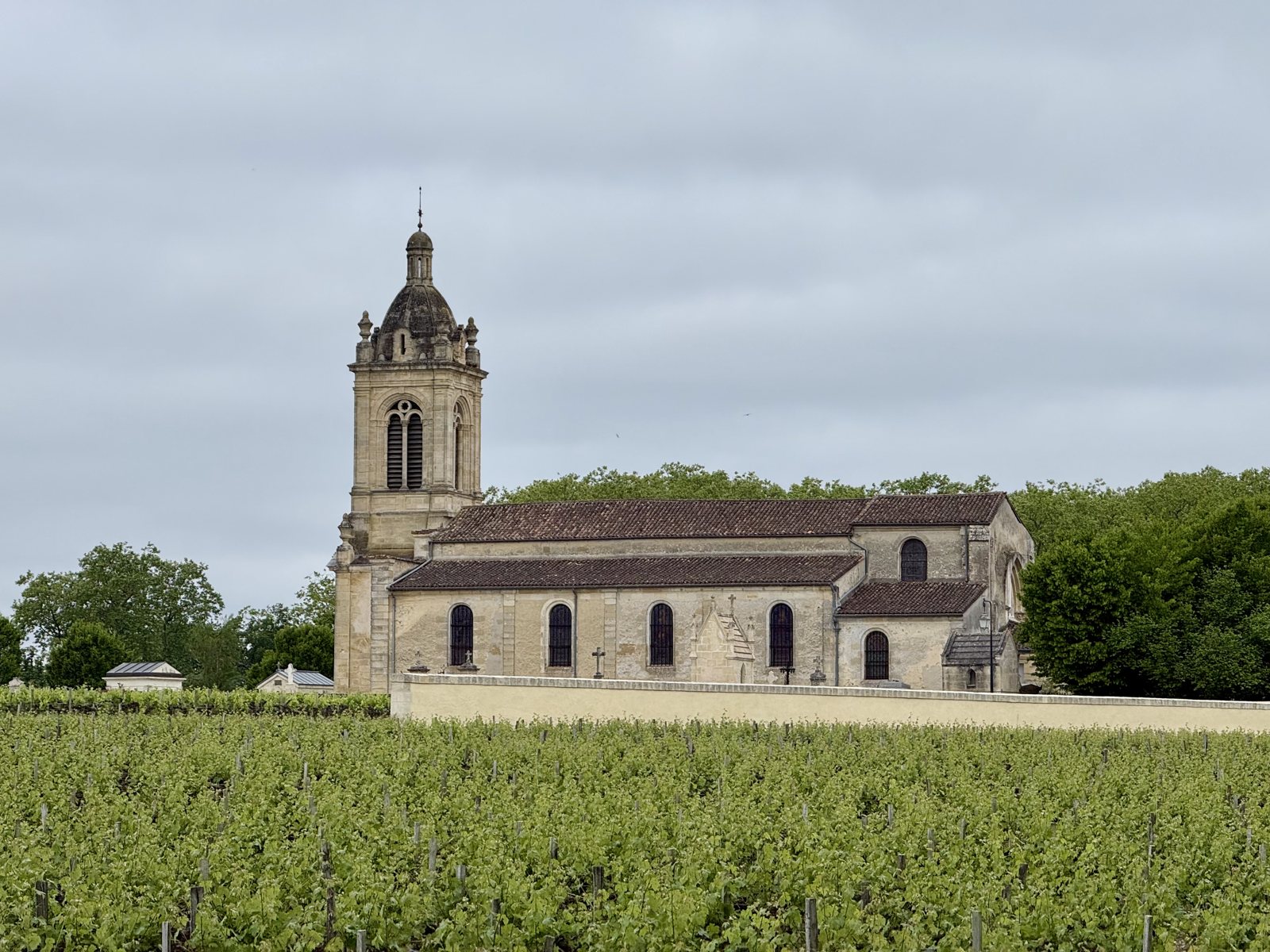 Church and vines, Margaux