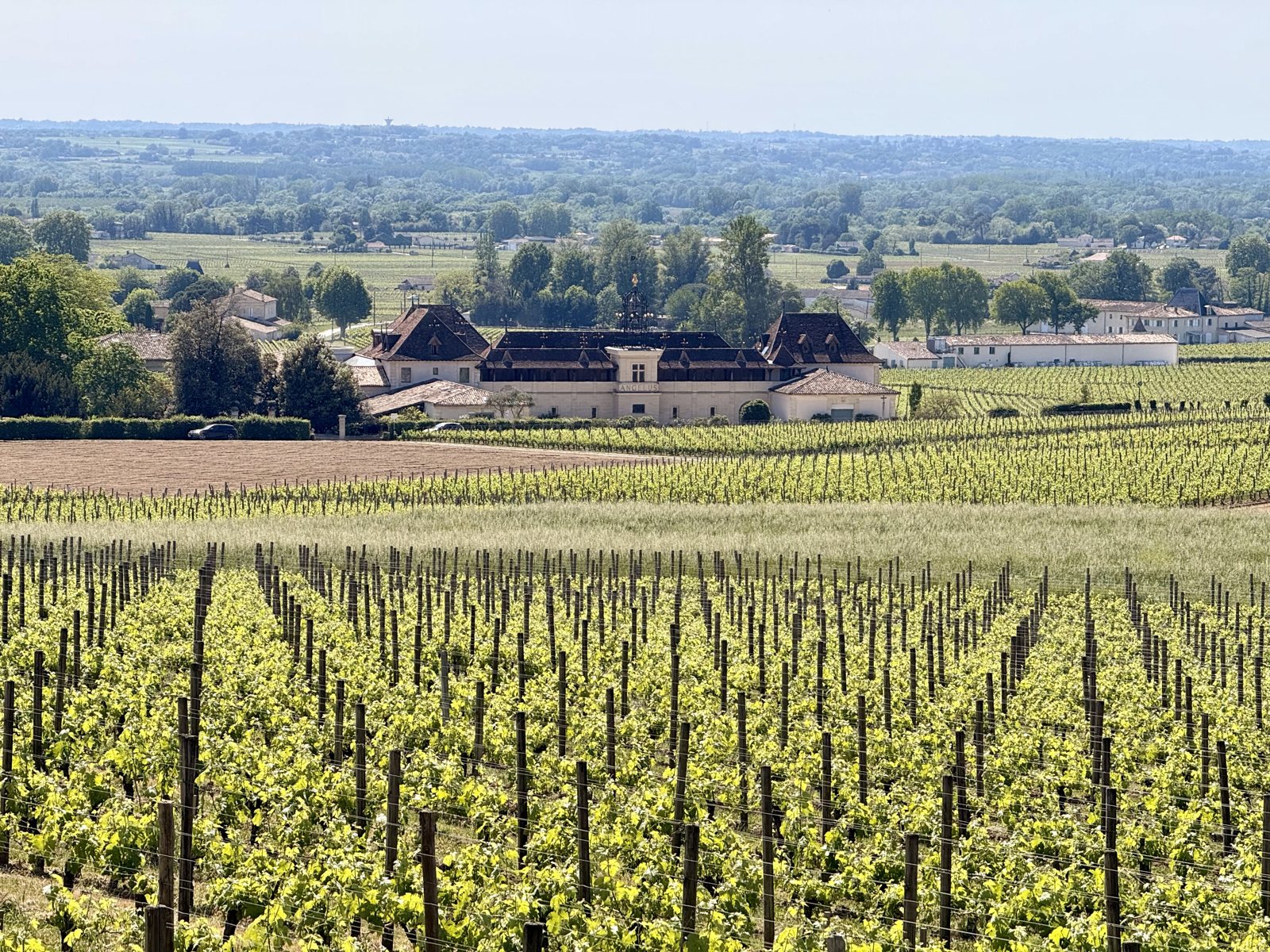 Rolling vineyards to the east, towards Castillon