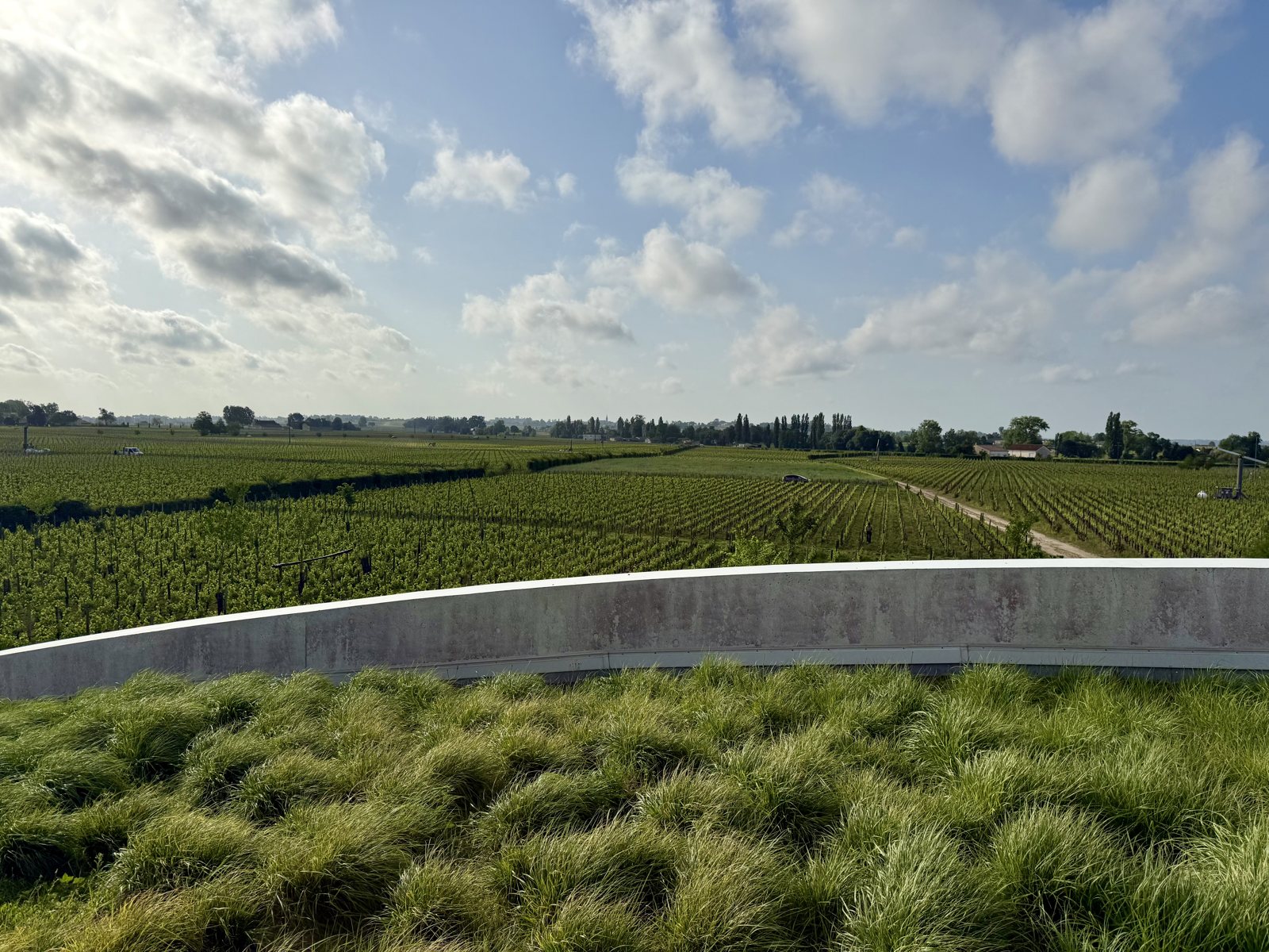 Grass-roofed winery above the vines, Cheval Blanc