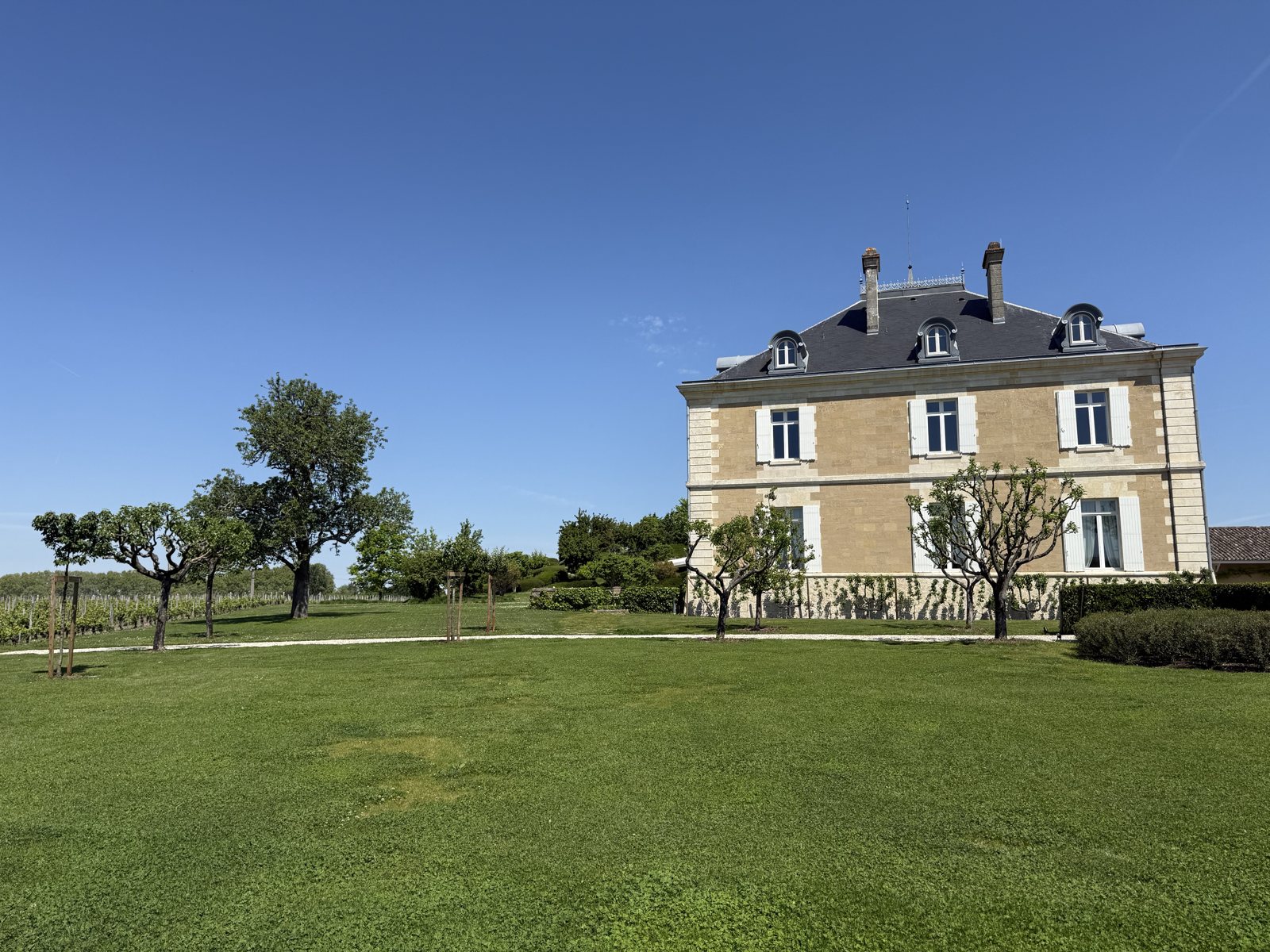 Haut-Bailly above its lawn, Pessac-Léognan